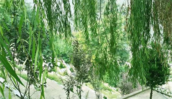 西安壽陽山墓園風(fēng)水咋樣