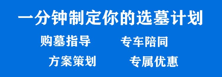 購(gòu)墓指導(dǎo)、方案策劃