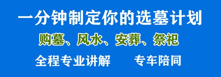 購墓指導、方案策劃
