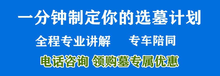 購墓指導(dǎo)、方案策劃