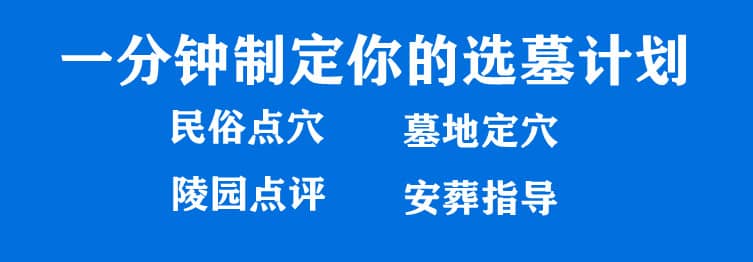 購(gòu)墓指導(dǎo)、方案策劃
