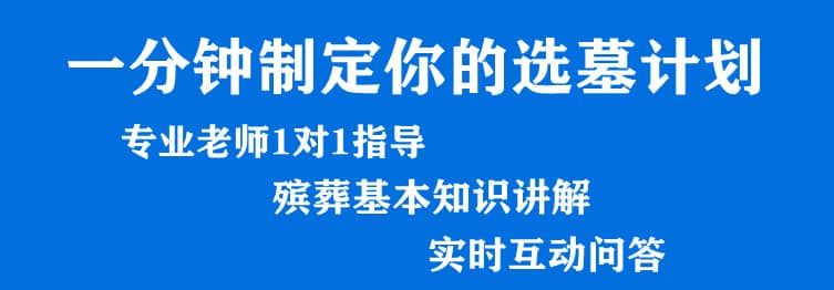 購墓指導(dǎo)、方案策劃
