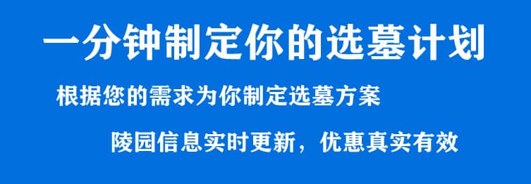 購墓指導(dǎo)、方案策劃