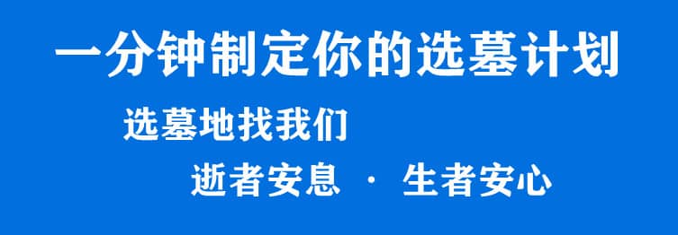 購墓指導(dǎo)、方案策劃