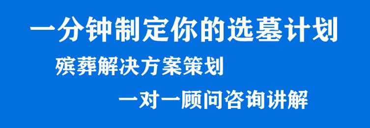 購(gòu)墓指導(dǎo)、方案策劃