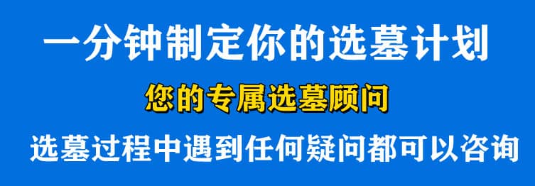 購(gòu)墓指導(dǎo)、方案策劃