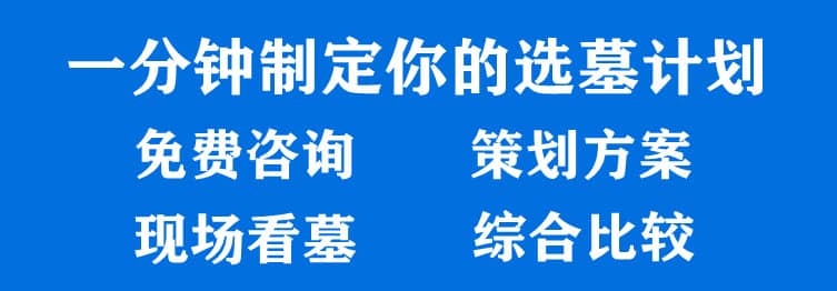 購(gòu)墓指導(dǎo)、方案策劃