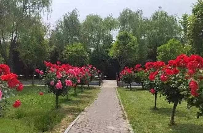 西安奉正塬公墓的具體位置在哪里，如何方便地找到它？