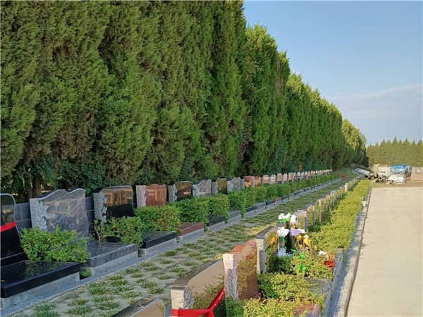 西安漢皇樹葬墓園的壁葬有哪些設(shè)計和價位選擇？