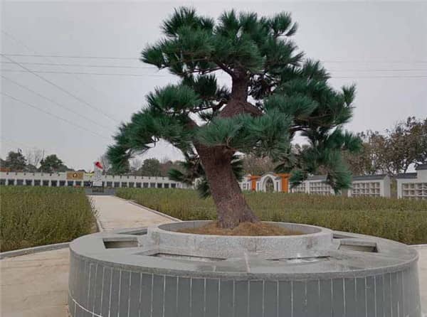 閻良漢皇樹葬骨灰公墓“軍魂苑”二期工程的建設進展如何？