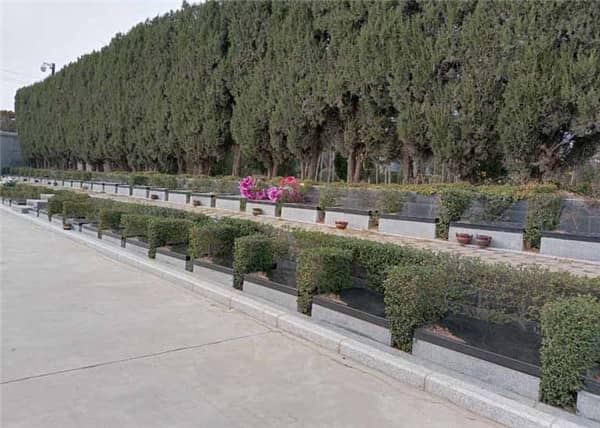 西安市樹葬墓園的費用大概是多少？