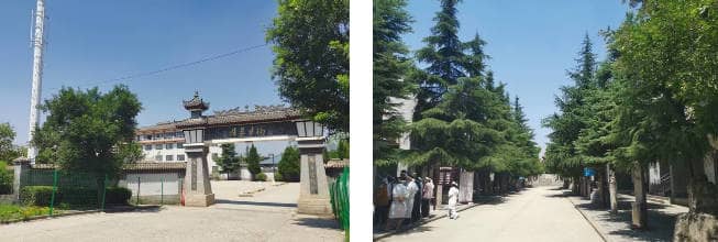 西安鎬京墓園祭掃規(guī)定與流程指南：文明祭掃，懷念逝者