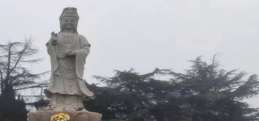 鳳棲山南區(qū)墓園，墓園價格優(yōu)惠快來選！