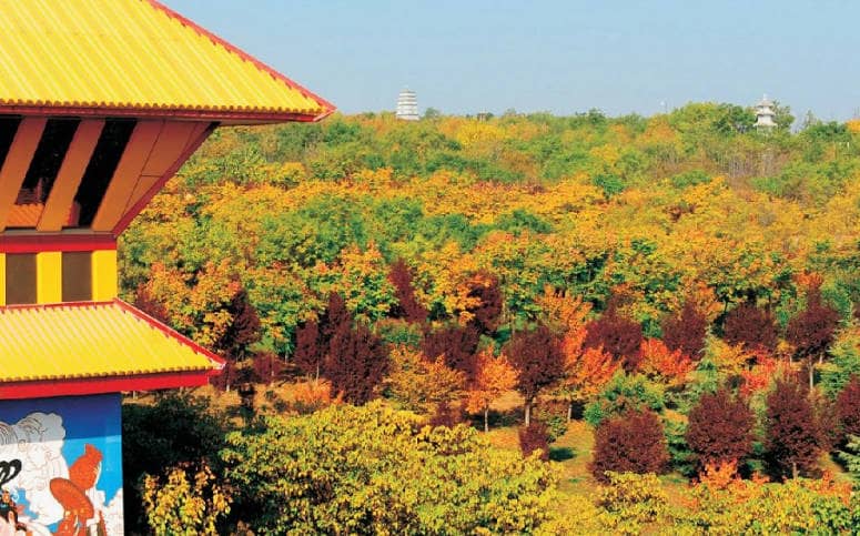 西安鳳棲山北區(qū)墓園公眾號