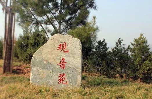 西安壽陽山墓園預(yù)約公眾號，感恩一生