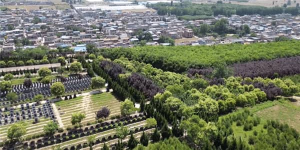 西安壽陽(yáng)山墓園掃墓：尊重生命，緬懷逝者