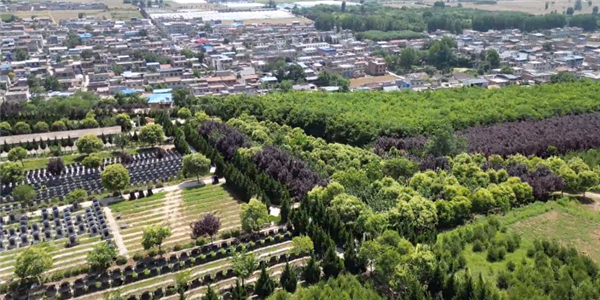 西安壽陽山墓園與白鹿原墓園特色對(duì)比