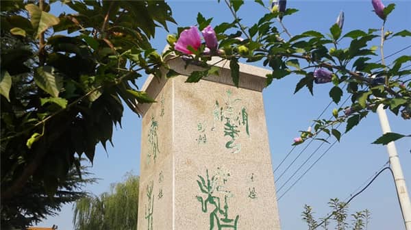 西安壽陽山墓園的單穴立碑和雙穴立碑有哪些特點？