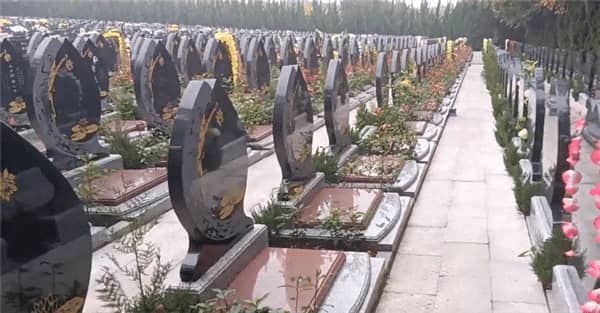 西安市壽陽山墓地，選擇合適位置