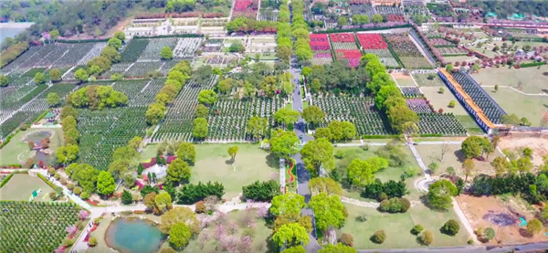 西安壽陽山墓園的花壇葬服務(wù)具體包括哪些內(nèi)容，如何確保花壇的長(zhǎng)期整潔與美觀？