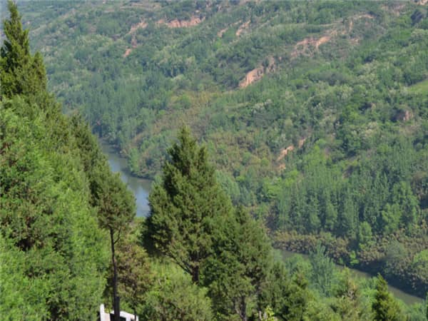 西安壽陽(yáng)山墓園提供了哪些類型的安葬方式，它們各自有何特點(diǎn)？