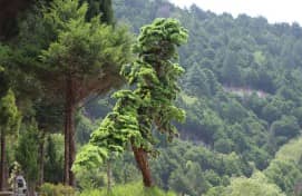 在重陽佳節(jié)期間，西安壽陽山墓園為訪客提供了哪些獨特的體驗活動？