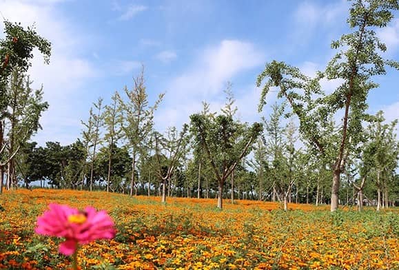 西安壽陽山墓園掃墓通知，傾聽生命的故事