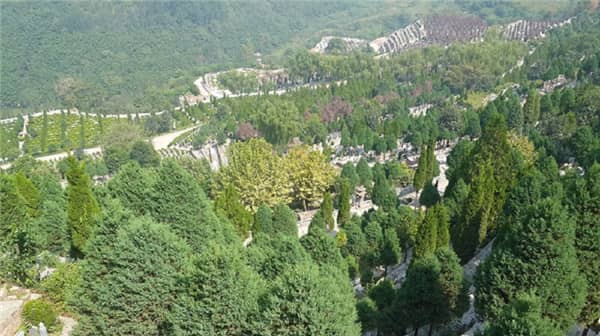 西安壽陽山墓園是否提供墓碑定制服務？