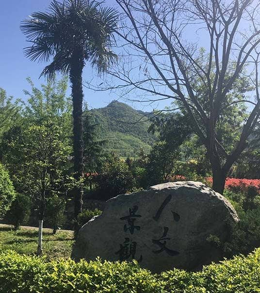長安慈恩園位于哪個區(qū)域，如何根據(jù)地址找到它？