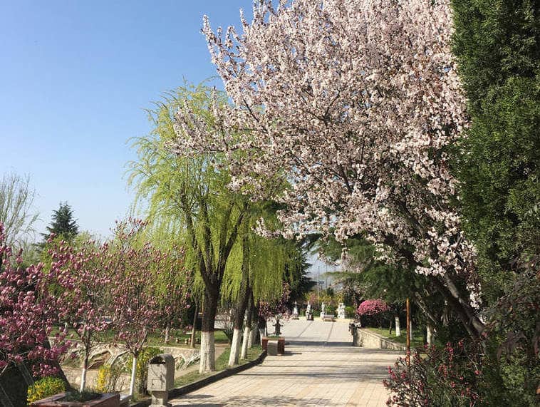 西安慈恩園墓園高清照片欣賞：環(huán)境、設(shè)施與墓碑風(fēng)格一覽