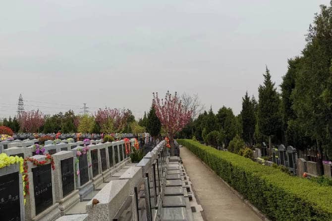棗園山生態(tài)人文紀念園：綠色緬懷，人文紀念的新選擇