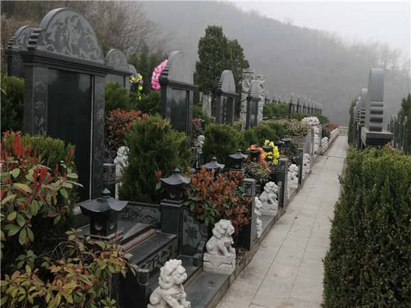 西安九龍山公墓在推出優(yōu)惠政策和活動(dòng)時(shí)，是否會(huì)考慮客戶的特殊需求？