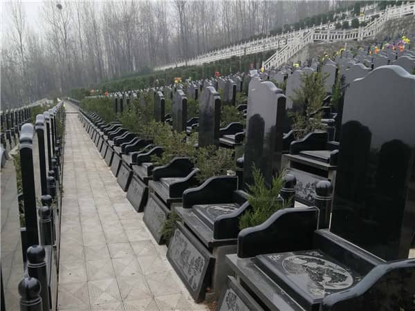 生態(tài)葬如何體現(xiàn)了對(duì)環(huán)境保護(hù)的貢獻(xiàn)？