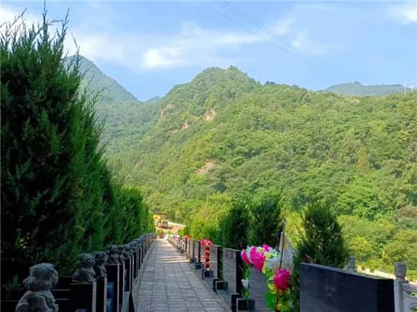 西安戶縣九龍山墓園雪景：寧靜莊嚴，美麗如畫！