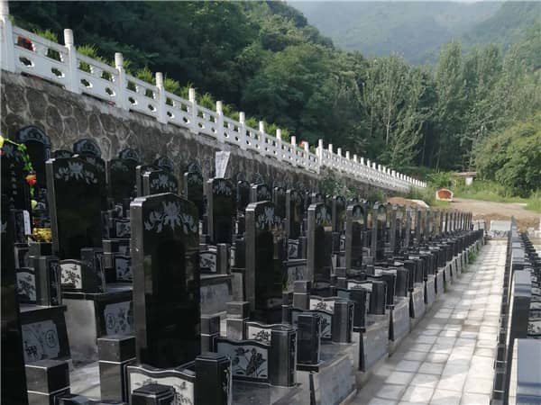 西安九龍山公墓的地理位置及其周邊環(huán)境有何特色？