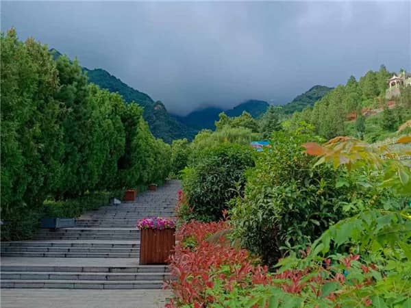 西安市鄠邑區(qū)九龍山公墓生態(tài)葬花壇葬、壁葬、樹葬及立碑價(jià)格多少錢