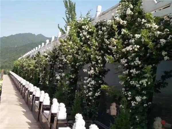 西安九龍山公墓和霸陵墓園在環(huán)境上有何不同，如何根據(jù)個(gè)人需求進(jìn)行選擇？