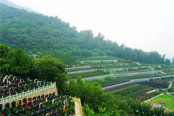 西安九龍山公墓的專車免費接送服務(wù)具體是如何運作的？
