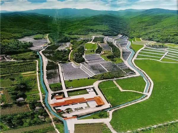 西安九龍山公墓的總規(guī)劃面積是多少，并且是如何進行區(qū)域劃分的？