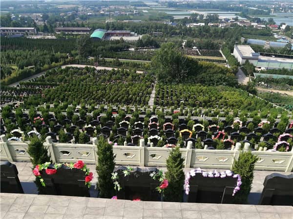 西安九龍山公墓的龍鳳墓碑在設計上有哪些獨特之處？