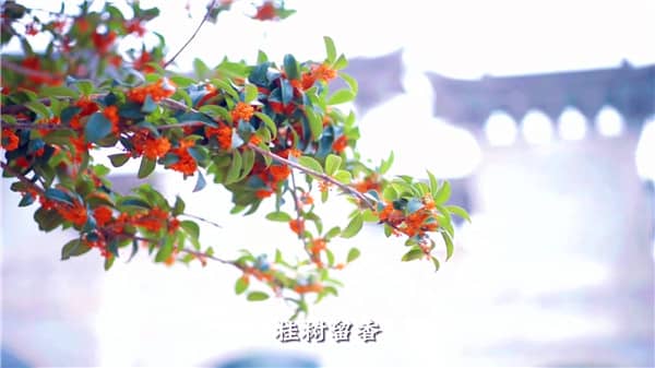西安市霸陵墓園新區(qū)，心靈自由的放逐地