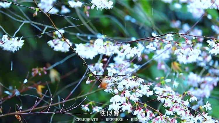 霸陵墓園新區(qū)有哪些特色？