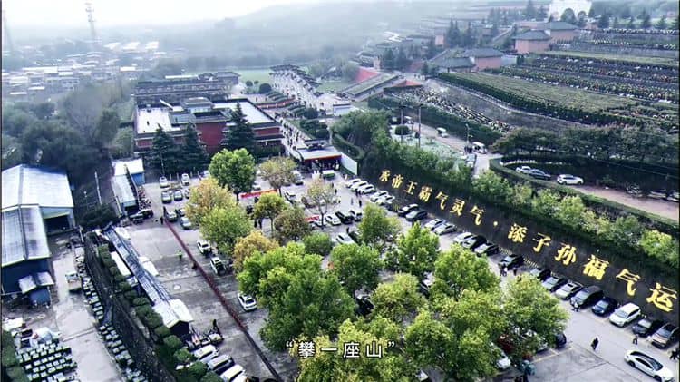 西安霸陵墓園位于哪里，其地理位置有何特殊之處？