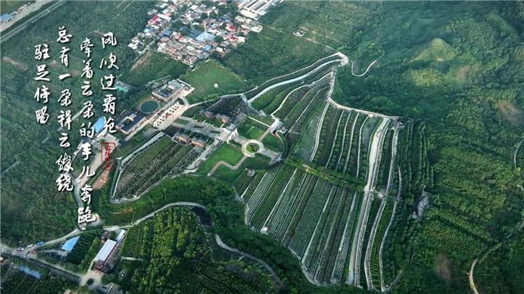 西安霸陵墓園咨詢(xún)電話(huà)，獲取西安霸陵墓園最新信息的官方渠道