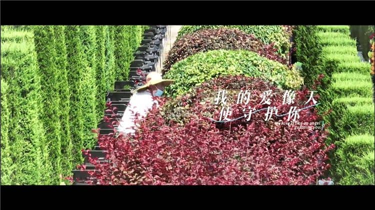 西安霸陵墓園老區(qū) 新區(qū)，一片世界