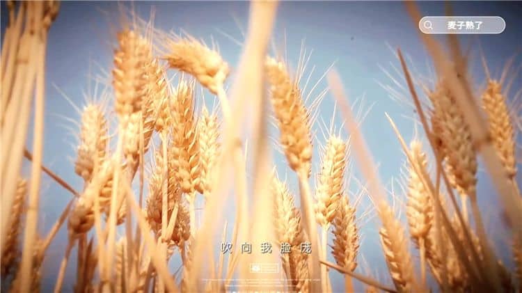 西安霸陵墓園新區(qū)是否支持家庭墓地繼承？