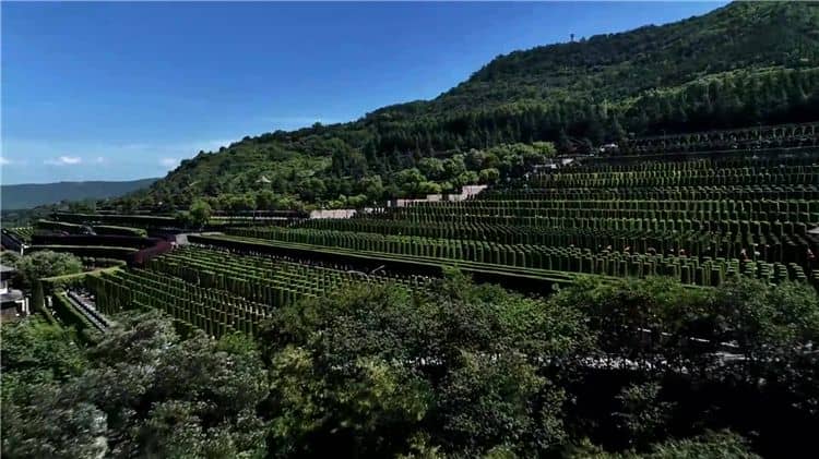 請問西安霸陵墓園新區(qū)有哪些配套設(shè)施？