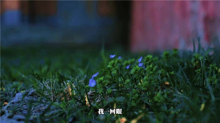 西安霸陵陵園的風(fēng)水特點(diǎn)是什么？