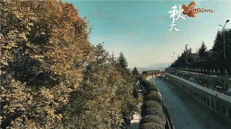 西安霸陵墓園新區(qū)具體位于哪個區(qū)域和街道，其周邊有哪些主要的交通路線？