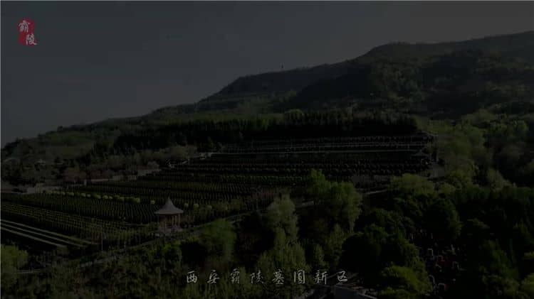 西安霸陵墓園不僅具有深厚的歷史背景和文化底蘊，還提供多種優(yōu)質(zhì)的服務項目和環(huán)保舉措